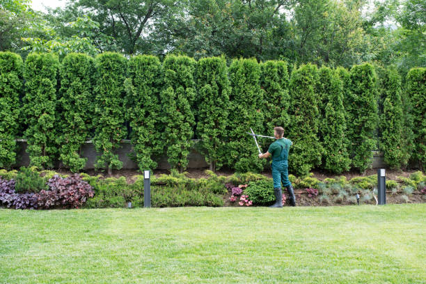 Best Lawn Watering Services  in Prince George, VA