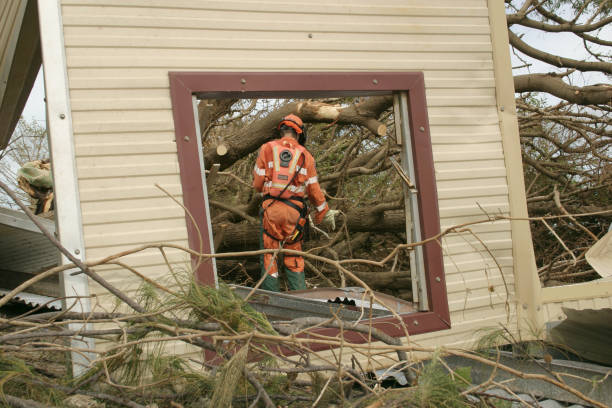 Best Seasonal Cleanup (Spring/Fall)  in Prince George, VA