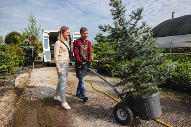 Best Commercial Tree Services  in Prince George, VA